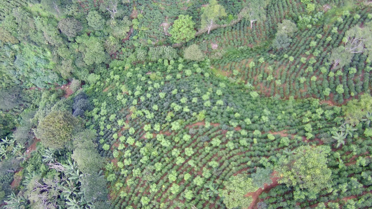 Vista aérea de la finca El Bache